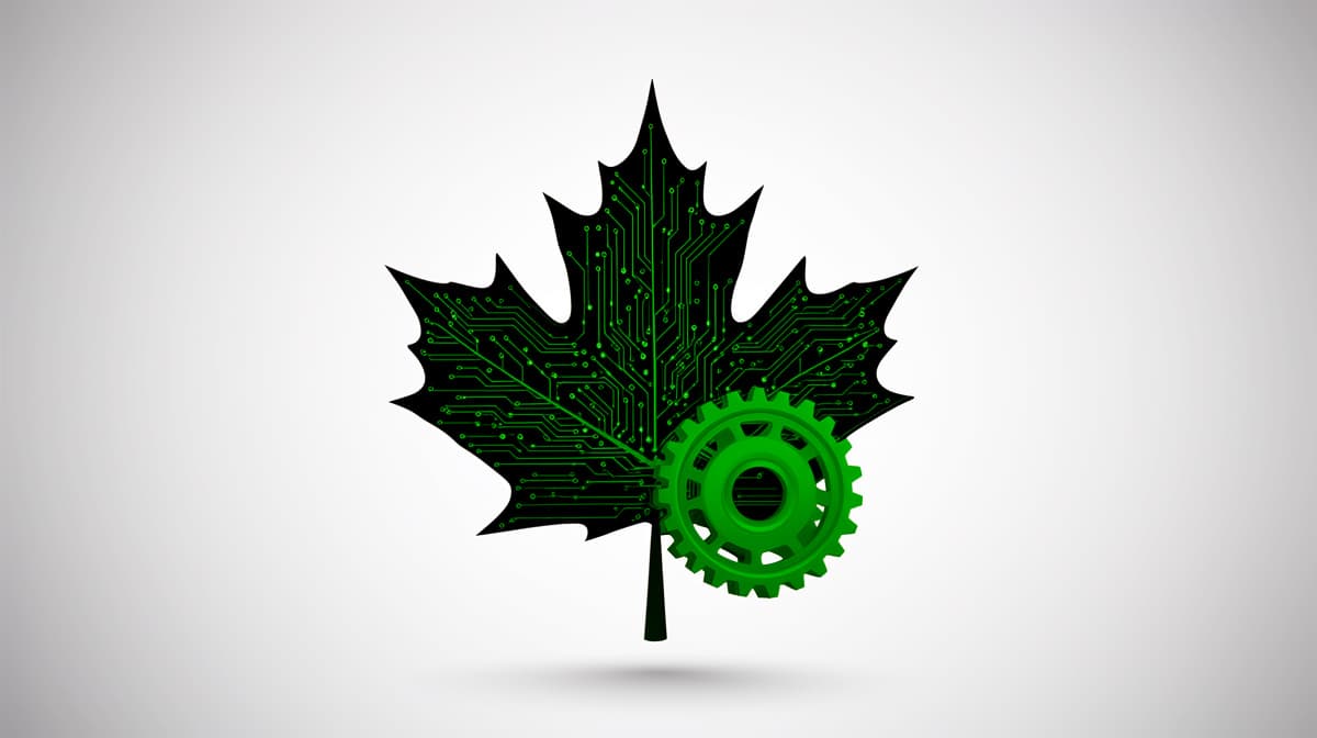 Engineering Job Market Shift: Canada Short on 'Hybrid' Civil and Mechanical Engineers
