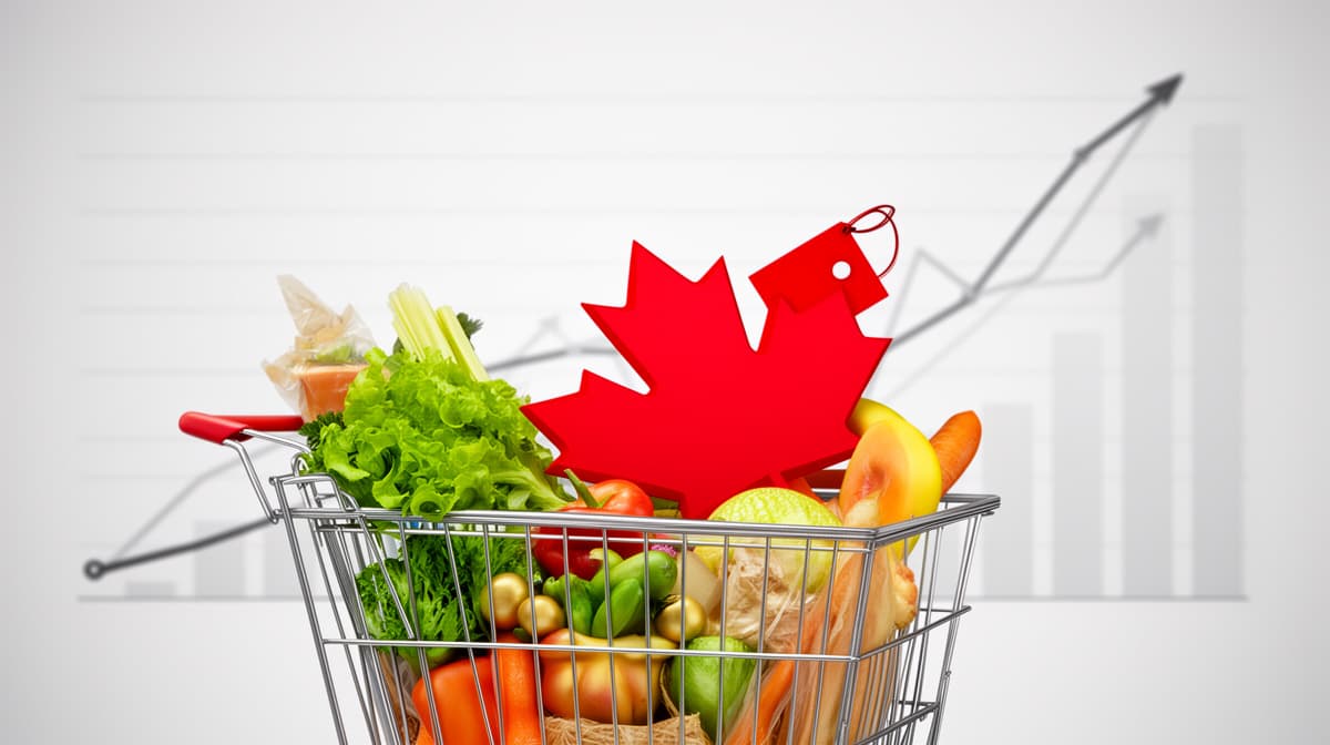 Grocery Costs Remain High: 34% of Canadians Taking on Debt to Buy Food
